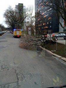 Umgekippter Baum auf der Hochschulstraße